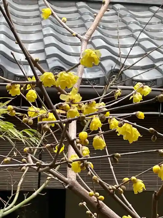 遠照山 光明寺(尼崎大仏)(兵庫県)