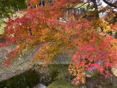 文保寺(兵庫県)