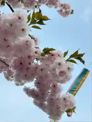 二柱神社(宮城県)