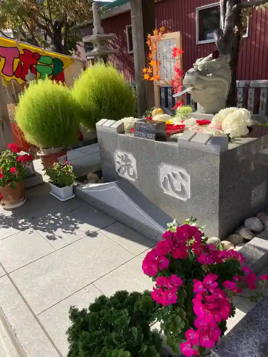 新川皇大神社の手水舎