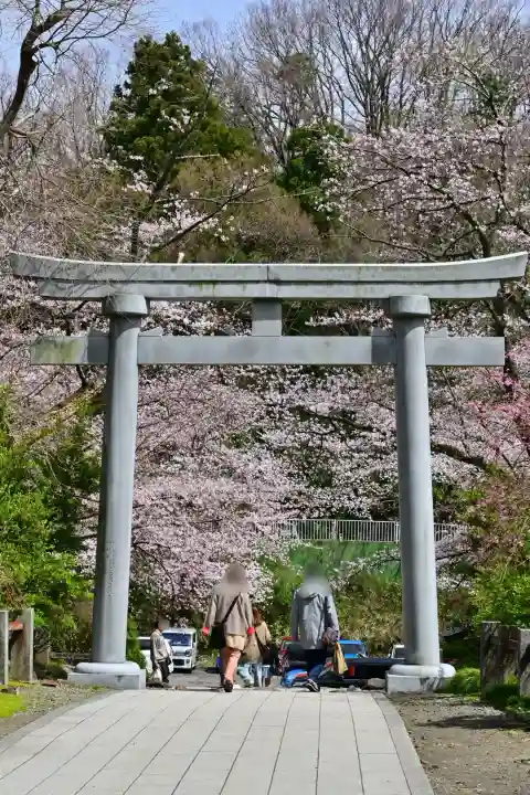 彌彦神社(新潟県)