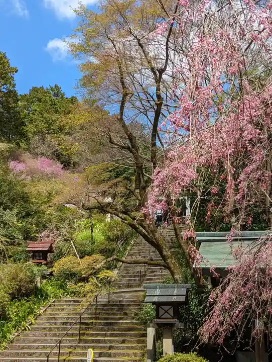 日向大神宮(京都府)