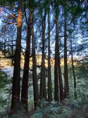 天岩戸神社(宮崎県)