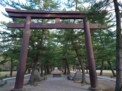 出雲大社の鳥居