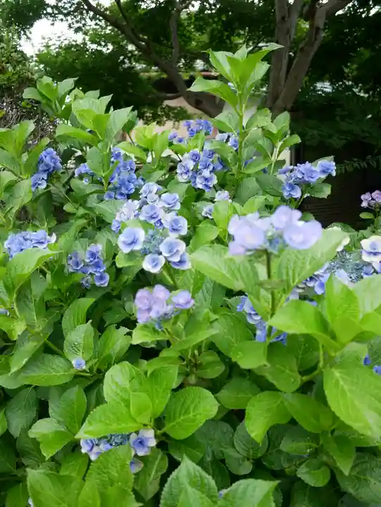 尾曳稲荷神社の自然