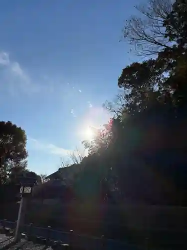 櫻木神社(千葉県)