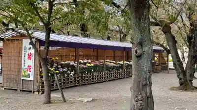 靖國神社(東京都)