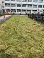 杭全神社(大阪府)