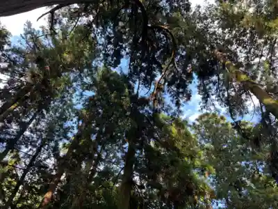 大宮温泉神社(栃木県)