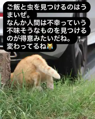 専念寺(大阪府)