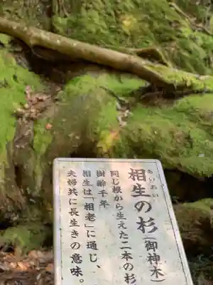 貴船神社奥宮(京都府)