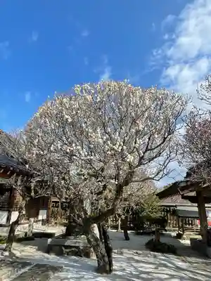 綱敷天満宮の自然