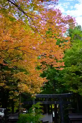 諏訪大社下社秋宮(長野県)