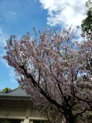 月窓寺(東京都)