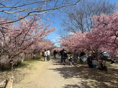 東運寺の{uncategorized: "未分類", other: "その他", undefined: "問題あり", building: "その他建物", grave: "お墓", sacred_gate: "鳥居", guardian: "狛犬", statue: "像", buddha: "仏像", history: "歴史", nature: "自然", garden: "庭園", animal: "動物", pagoda: "塔", temizu: "手水舎", mountain_gate: "山門・神門", sanctuary: "本殿・本堂", subordinate: "末社・摂社", art: "芸術", scenery: "景色", jizo: "地蔵", ema: "絵馬", goshuin: "御朱印", omikuji: "おみくじ", items: "授与品その他", amulet: "お守り", goshuincho: "御朱印帳", eats: "食事", festival: "お祭り", votive_dance: "神楽", shichigosan: "七五三参", wedding: "結婚式", experience: "体験その他", initially: "初詣", around: "周辺", anti_infection: "感染症対策"}