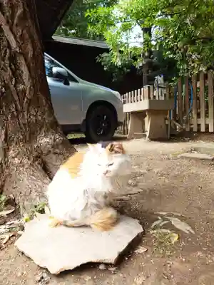 阿邪訶根神社(福島県)