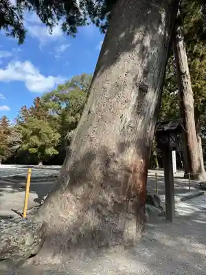 伊勢神宮外宮（豊受大神宮）(三重県)