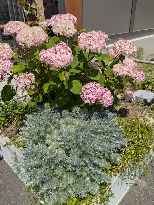 発寒神社(北海道)