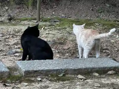 王子神社(徳島県)