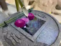 岡寺(龍蓋寺)(奈良県)