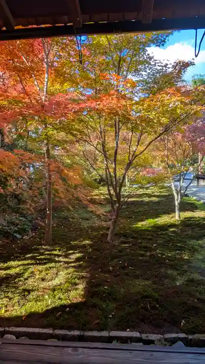 興聖寺(京都府)