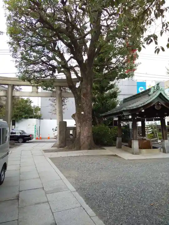 麻布氷川神社の鳥居