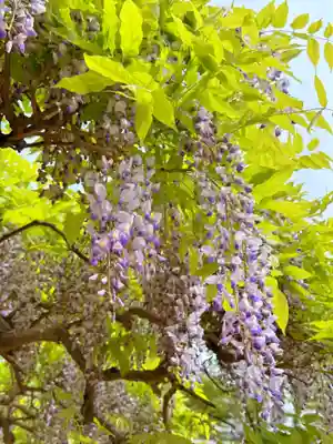 月岡神社(山形県)