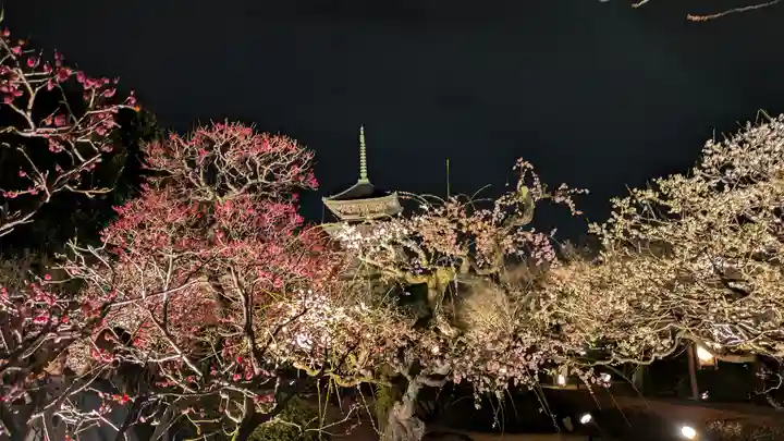 東寺(教王護国寺)(京都府)