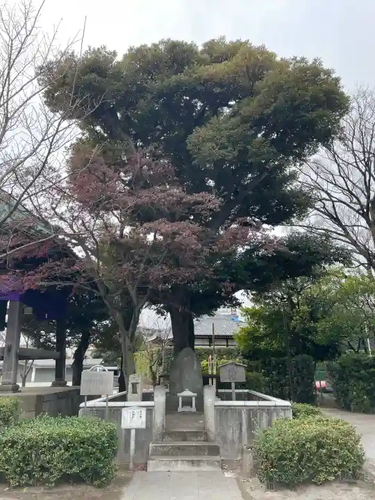 祐天寺の{uncategorized: "未分類", other: "その他", undefined: "問題あり", building: "その他建物", grave: "お墓", sacred_gate: "鳥居", guardian: "狛犬", statue: "像", buddha: "仏像", history: "歴史", nature: "自然", garden: "庭園", animal: "動物", pagoda: "塔", temizu: "手水舎", mountain_gate: "山門・神門", sanctuary: "本殿・本堂", subordinate: "末社・摂社", art: "芸術", scenery: "景色", jizo: "地蔵", ema: "絵馬", goshuin: "御朱印", omikuji: "おみくじ", items: "授与品その他", amulet: "お守り", goshuincho: "御朱印帳", eats: "食事", festival: "お祭り", votive_dance: "神楽", shichigosan: "七五三参", wedding: "結婚式", experience: "体験その他", initially: "初詣", around: "周辺", anti_infection: "感染症対策"}