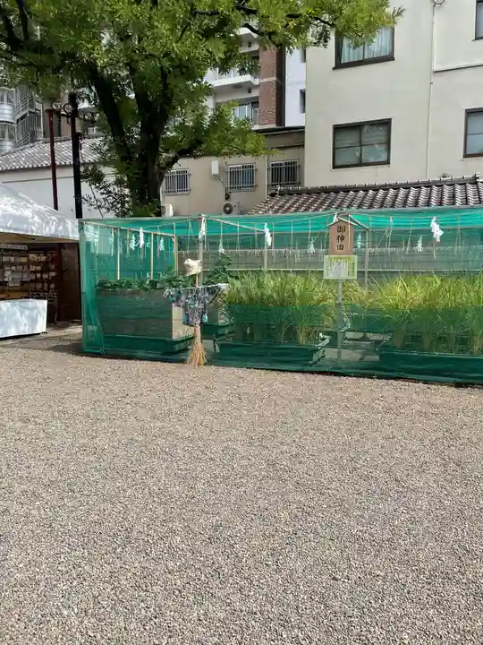 浅草神社のその他建物