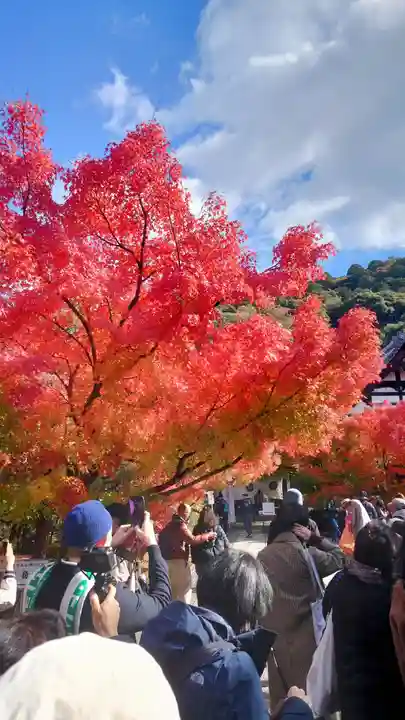 禅林寺(永観堂)(京都府)