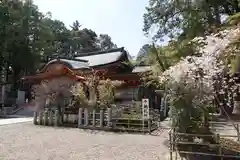 長岡天満宮の本殿