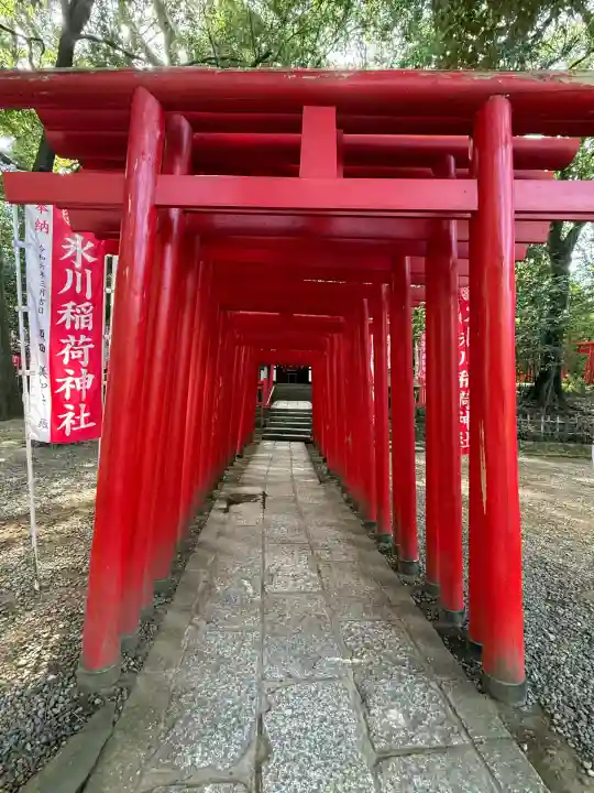武蔵一宮氷川神社(埼玉県)