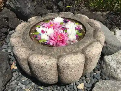 埼玉厄除け開運大師・龍泉寺（切り絵御朱印発祥の寺）の手水舎