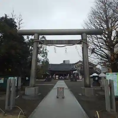浅草神社の鳥居