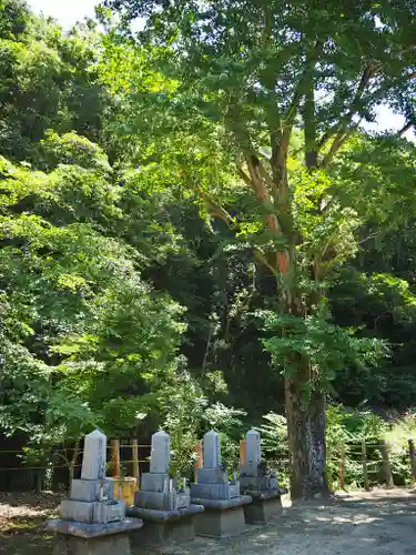 藤井寺のその他建物