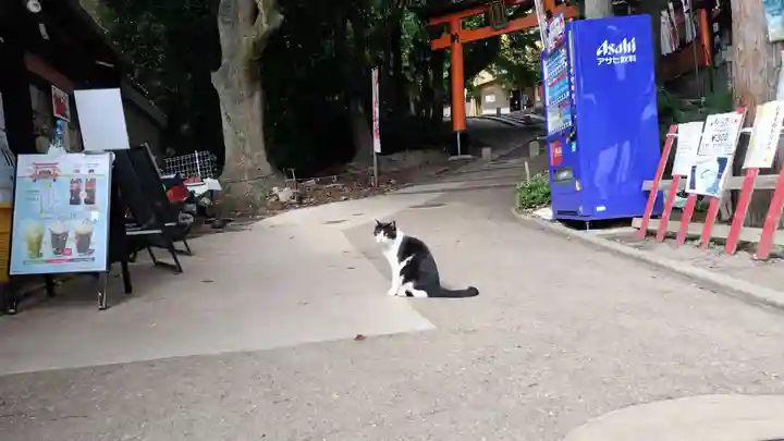 伏見豊川稲荷本宮(京都府)