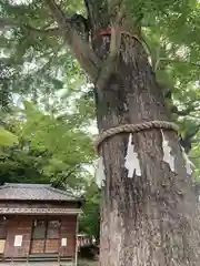 春日部八幡神社(埼玉県)