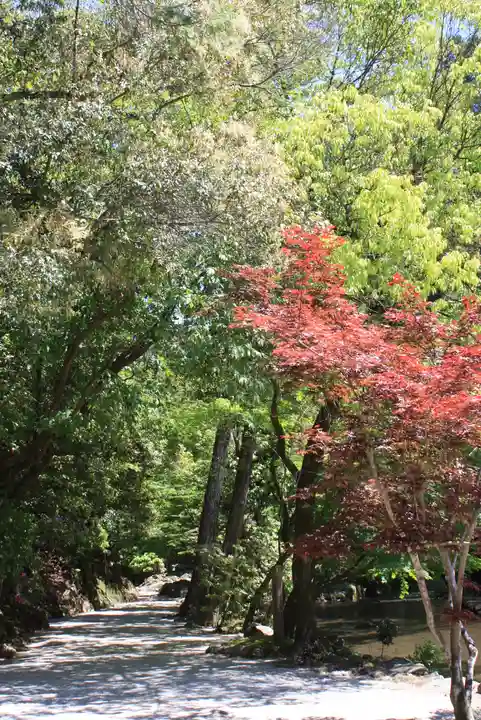 賀茂別雷神社(上賀茂神社)(京都府)