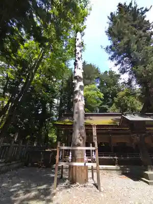 諏訪大社下社春宮(長野県)