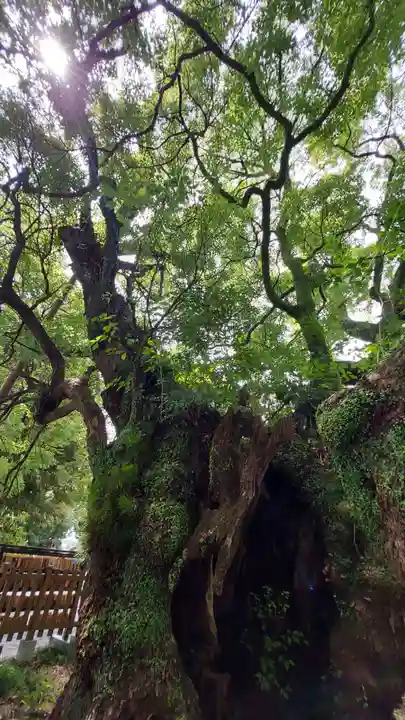 富知六所浅間神社(静岡県)