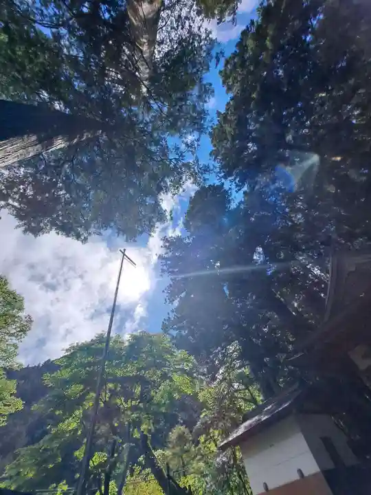 九頭龍神社(東京都)