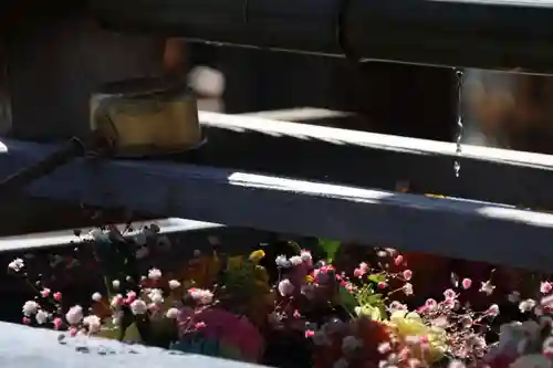 豊景神社の手水