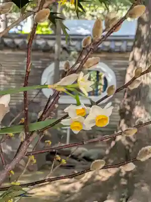 赤坂氷川神社(東京都)