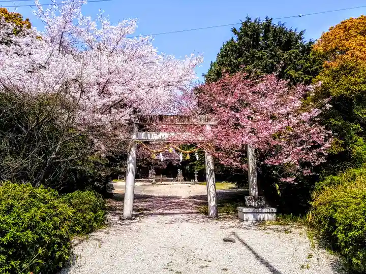 神明社(上切神明社)の鳥居