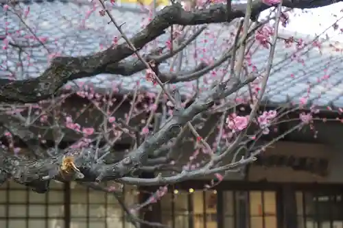 七尾神社の周辺