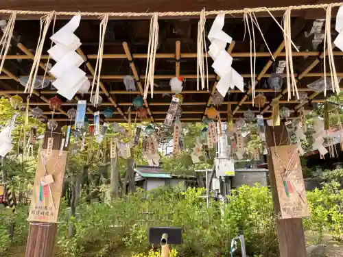 白山神社の{uncategorized: "未分類", other: "その他", undefined: "問題あり", building: "その他建物", grave: "お墓", sacred_gate: "鳥居", guardian: "狛犬", statue: "像", buddha: "仏像", history: "歴史", nature: "自然", garden: "庭園", animal: "動物", pagoda: "塔", temizu: "手水舎", mountain_gate: "山門・神門", sanctuary: "本殿・本堂", subordinate: "末社・摂社", art: "芸術", scenery: "景色", jizo: "地蔵", ema: "絵馬", goshuin: "御朱印", omikuji: "おみくじ", items: "授与品その他", amulet: "お守り", goshuincho: "御朱印帳", eats: "食事", festival: "お祭り", votive_dance: "神楽", shichigosan: "七五三参", wedding: "結婚式", experience: "体験その他", initially: "初詣", around: "周辺", anti_infection: "感染症対策"}