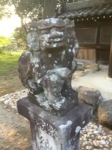 八幡神社の狛犬