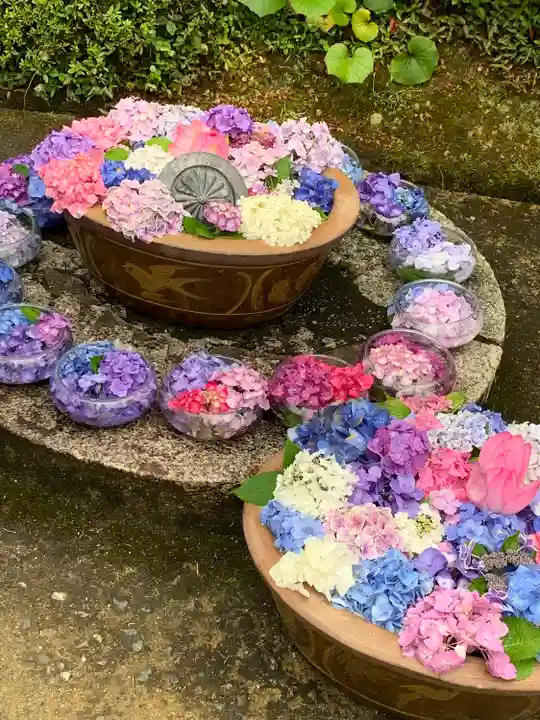 三室戸寺の手水舎