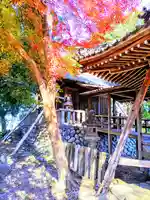 神明神社(下中町城屋敷)の本殿・本堂